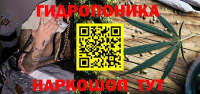 гидра Сосновоборск