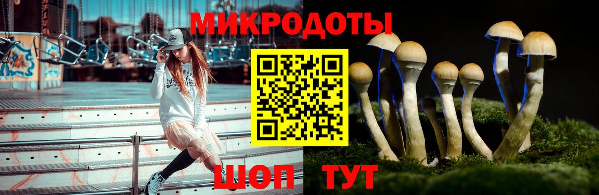 Казань  Псилоцибиновые грибы Psilocybe  Вход с VPN  наркота  Галлюциногенные грибы Psilocybine cubensis 